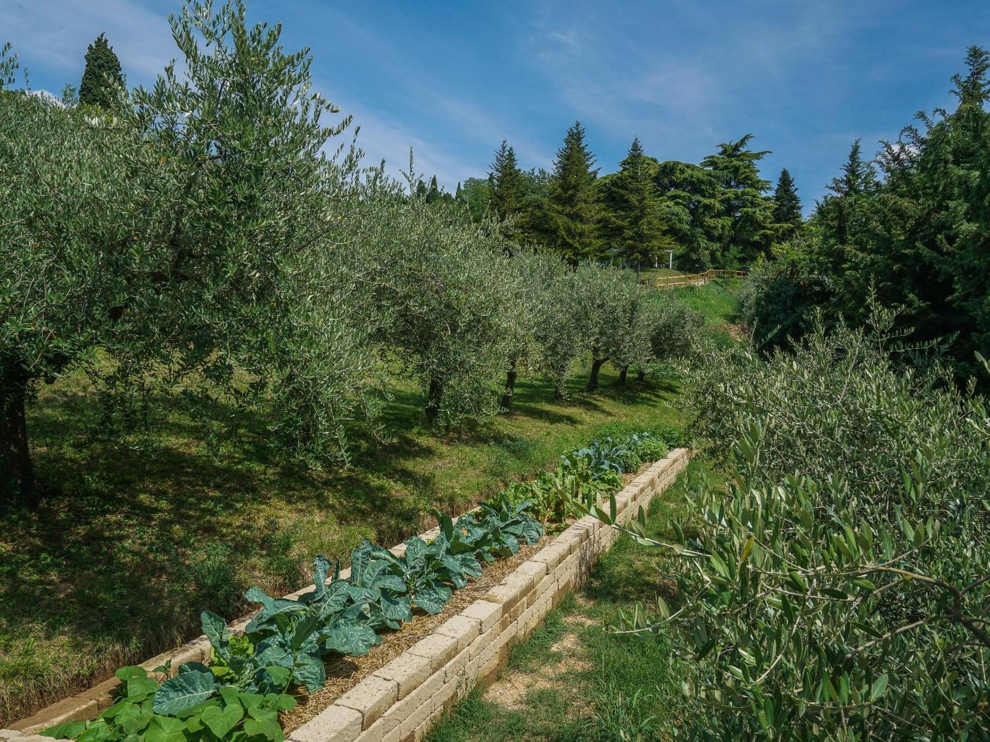 Ca Toresele Relais Osteria Garden Verona Eksteriør bilde