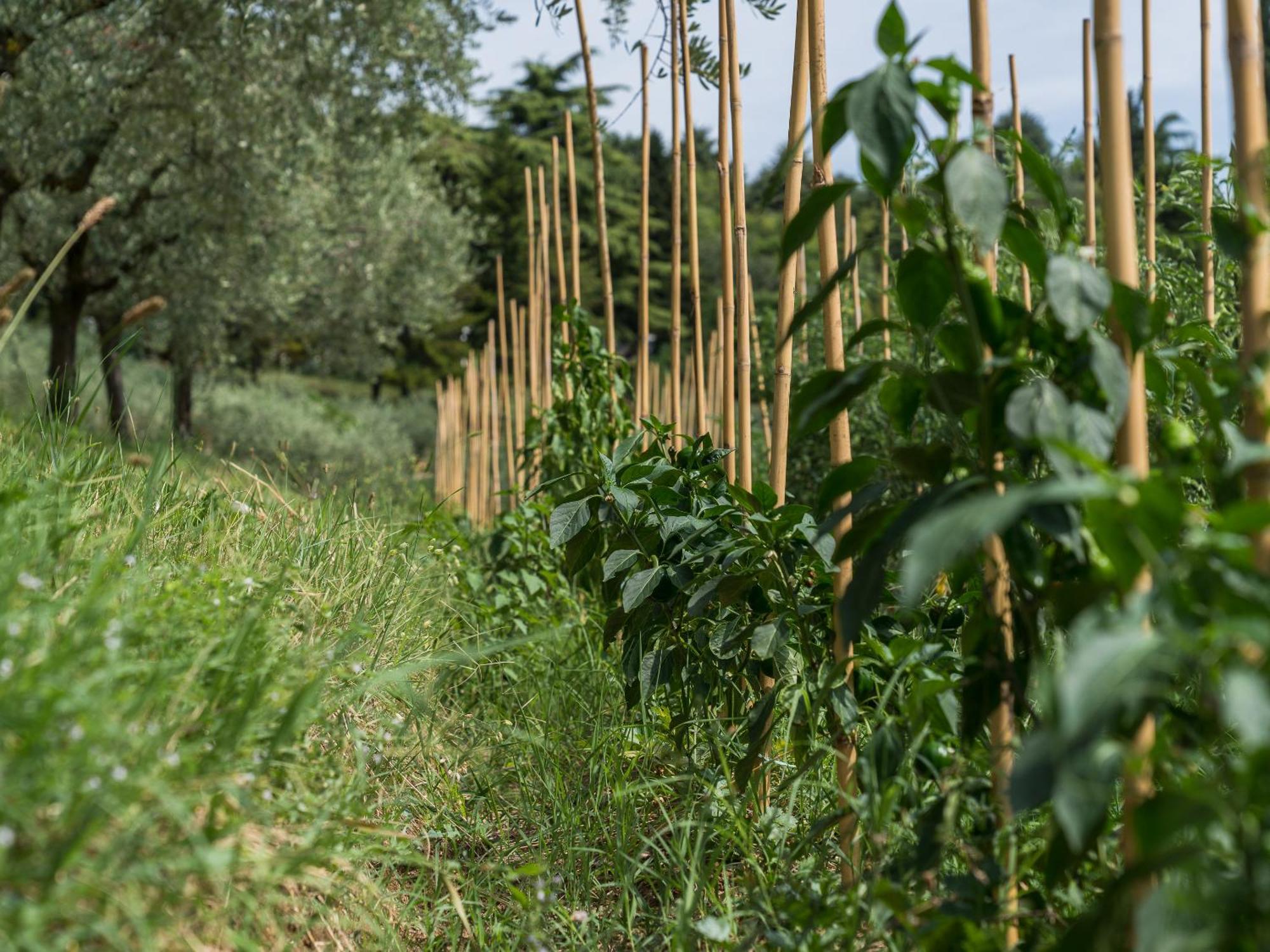 Ca Toresele Relais Osteria Garden Verona Eksteriør bilde